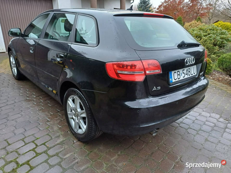 Audi A3 Sportback zadbany stan 8P 20032012 ESP kujawsko-pomorskie Łochowo