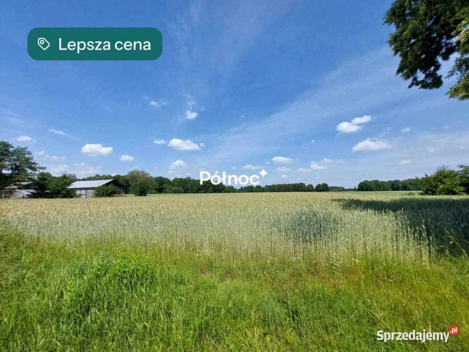 Ziemia rolna 714 ha Nietiahy gm Dębowa Kłoda lubelskie sprzedam