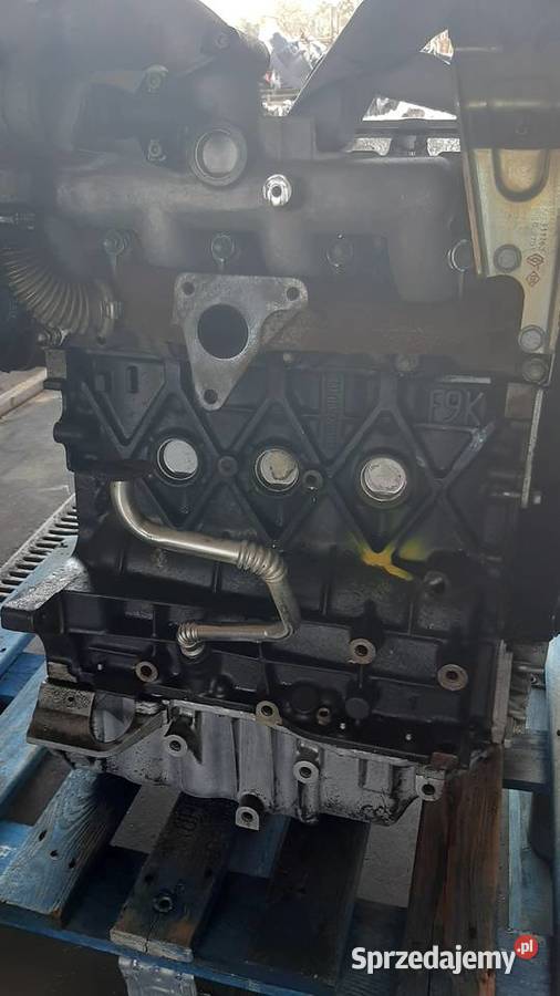 SILNIK 19 DCI F9Q F9K 750 670 760 trafik vivaro Pleszew sprzedam