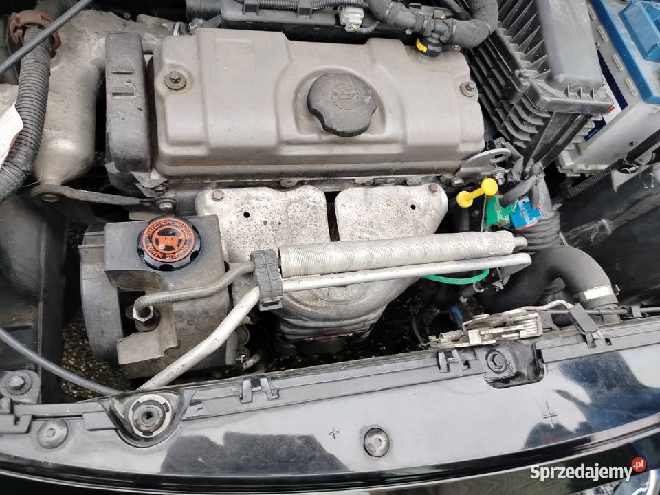 Peugeot 206 plus małopolskie