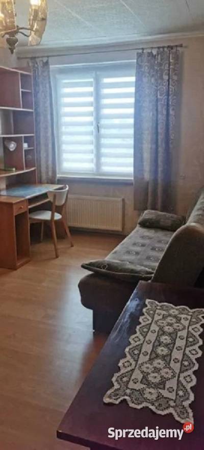 2pok 50met Kromera PIWNICAOGRÓD Wrocław Liczba pokoi 2 sprzedam