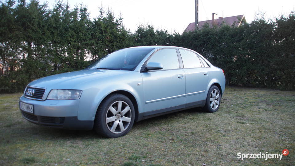 Audi A4 B6 16 ALZ 102 Doinwestowana OCPT do Rozogi