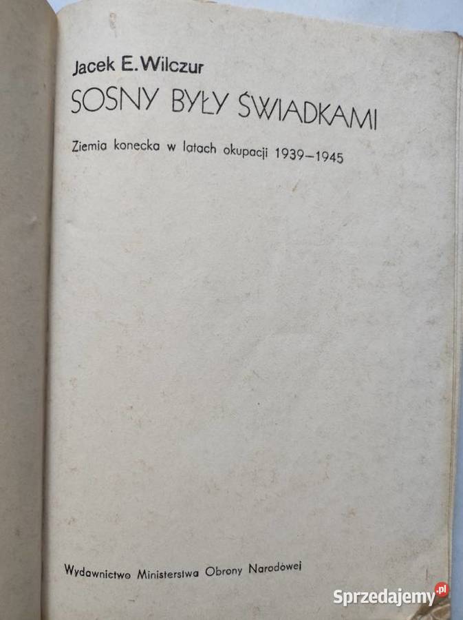 Sosny były świadkami Jacek Edward Wilczur ziemia Kielce
