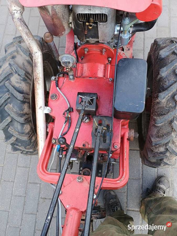 Sprzedam dzik 2 Pozostałe Polatycze