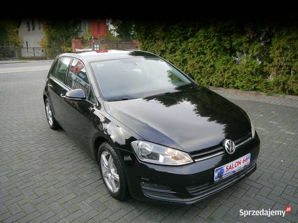 Volkswagen Golf 16tdi 170 Stan b 100bezwypadkowy elektryczne lusterka Częstochowa