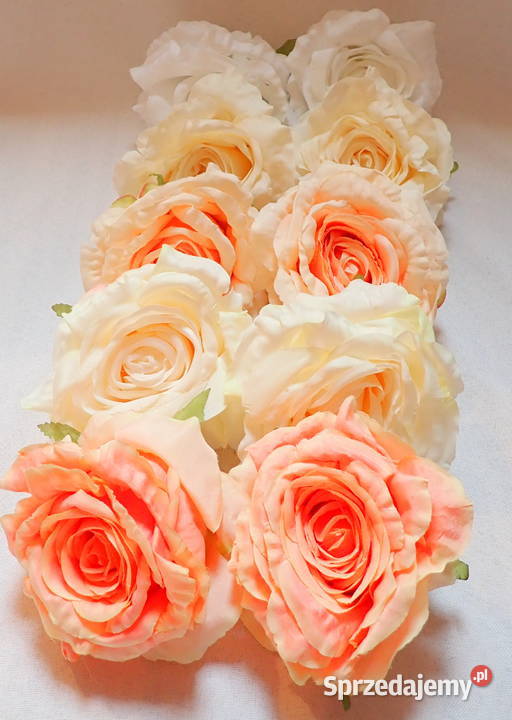 Róże rozwinięte różne kolory 1 śr 115 LA623 sprzedam