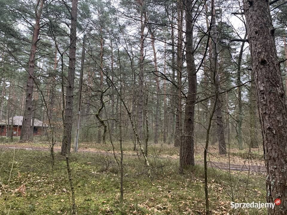 Świetna działka sprzedam Wilga sprzedam