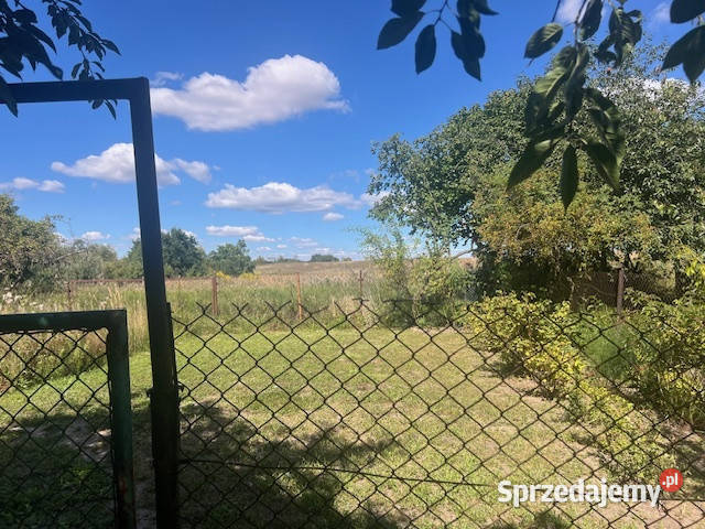 Syndyk sprzeda udział w wysokości 14 Kłodowo Liczba pokoi 6 sprzedam