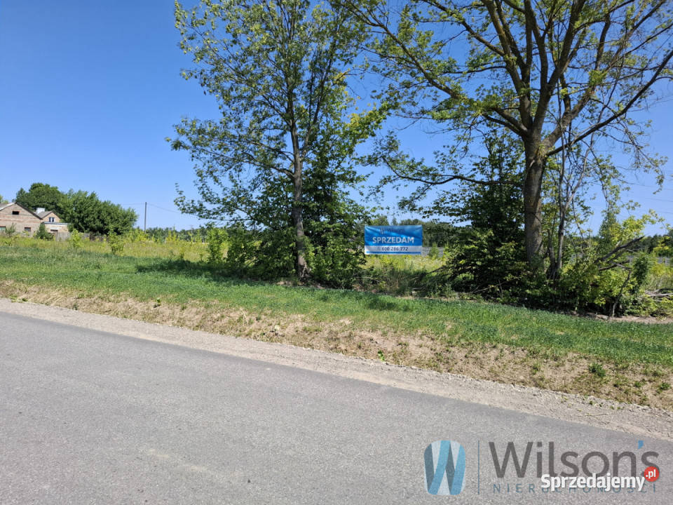 sprzedaży działki Załuski 7195m2