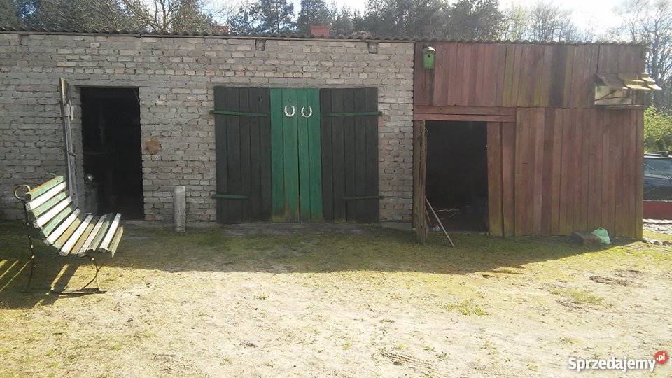 Sprzedam Dom w Drezdenku 70m2 sprzedam