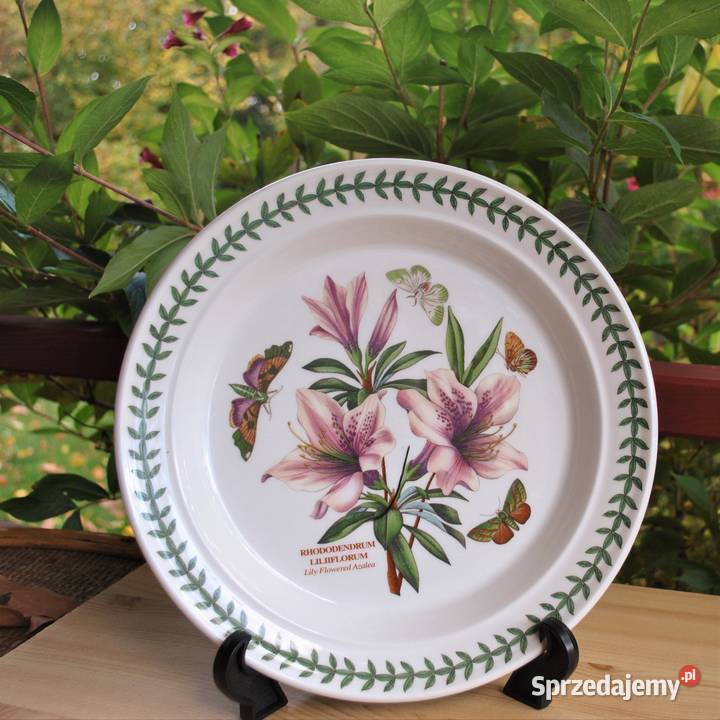 Portmeirion Botanic GardenDuży talerzpatera warmińsko-mazurskie Szczytno sprzedam
