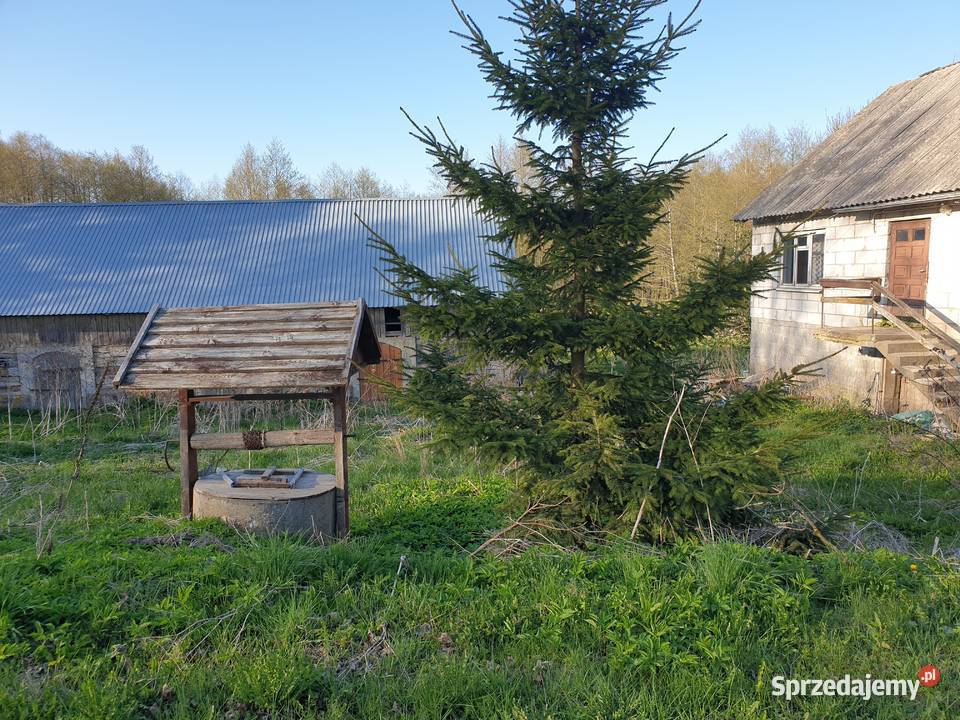HAŃCZAsiedlisko i ziemia orna i leśna Suwałki