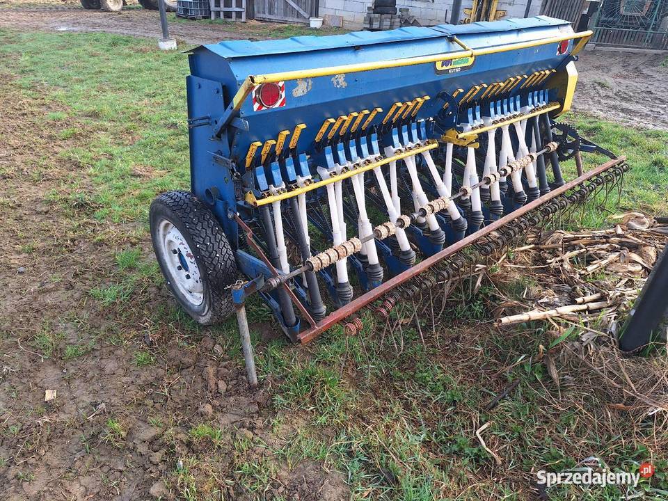 Siewnik poznaniak Przeciszów