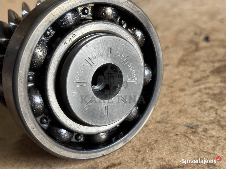 ZF Wał 2099359006 Jastrzębniki