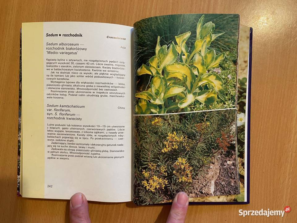 Eugeniusz Radziul Skalniaki Poradniki, albumy i reportaże Mysłowice