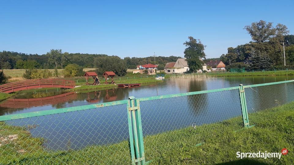 Działka budowlana 2900m2 park las Naroczyce dolnośląskie