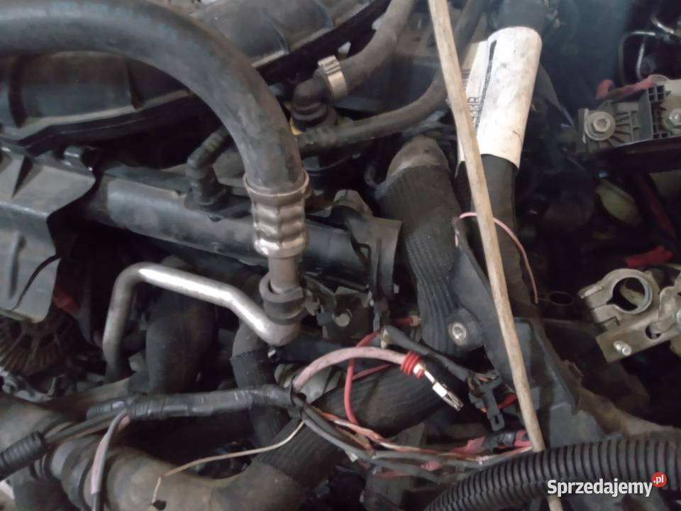 Renault megan3 Wola Roźwienicka