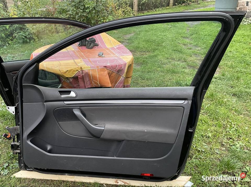 Drzwi przednie prawe volkswagen golf V 3d Skwierzyna