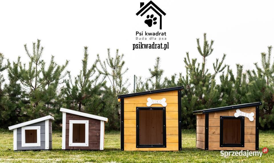 Buda psa WZMACNIANA do kojca hodowli dowóz Stopnica