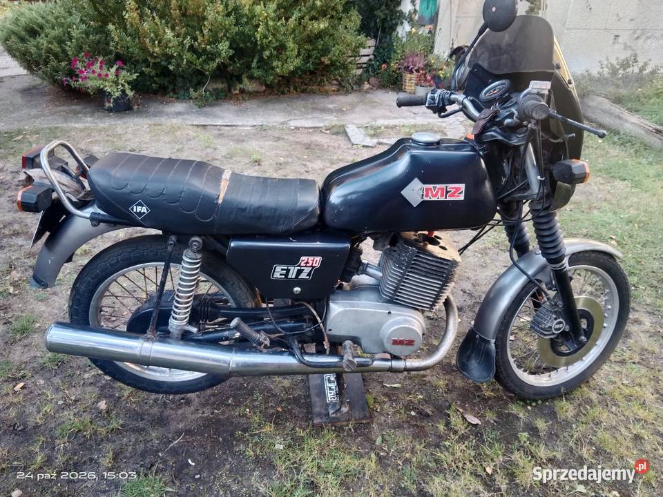 Mz