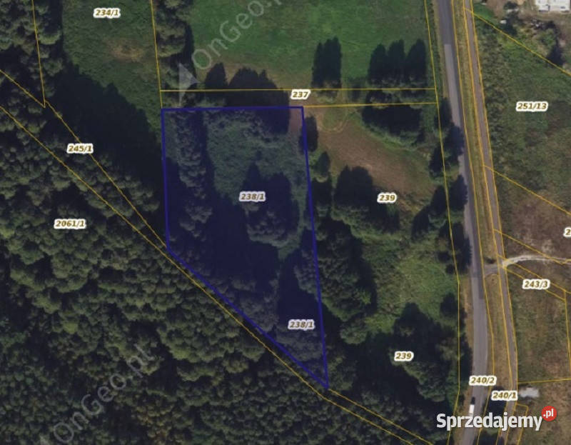 Działka 2381 w Wielka Nieszawka