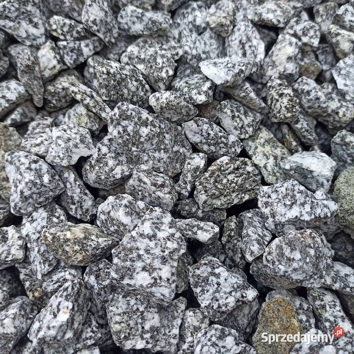 Grys Granitowy Dalmatian szary Kamień ozdobny Jaworzno