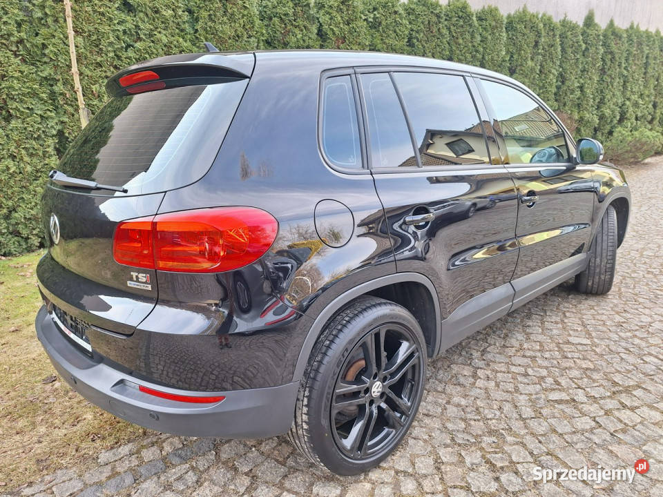 Volkswagen Tiguan BlueMotion Technology Trend