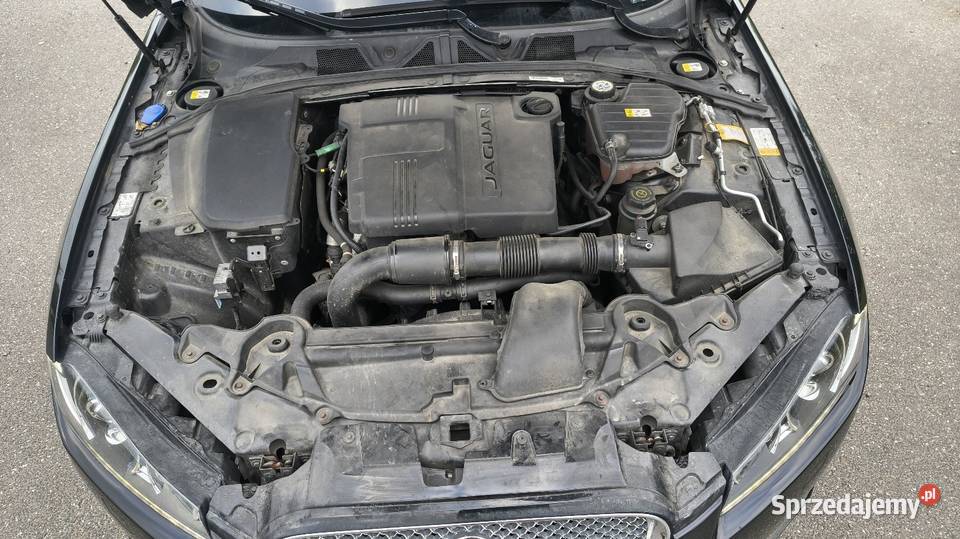 Jaguar XF 22 diesel 200 2014r Toruń