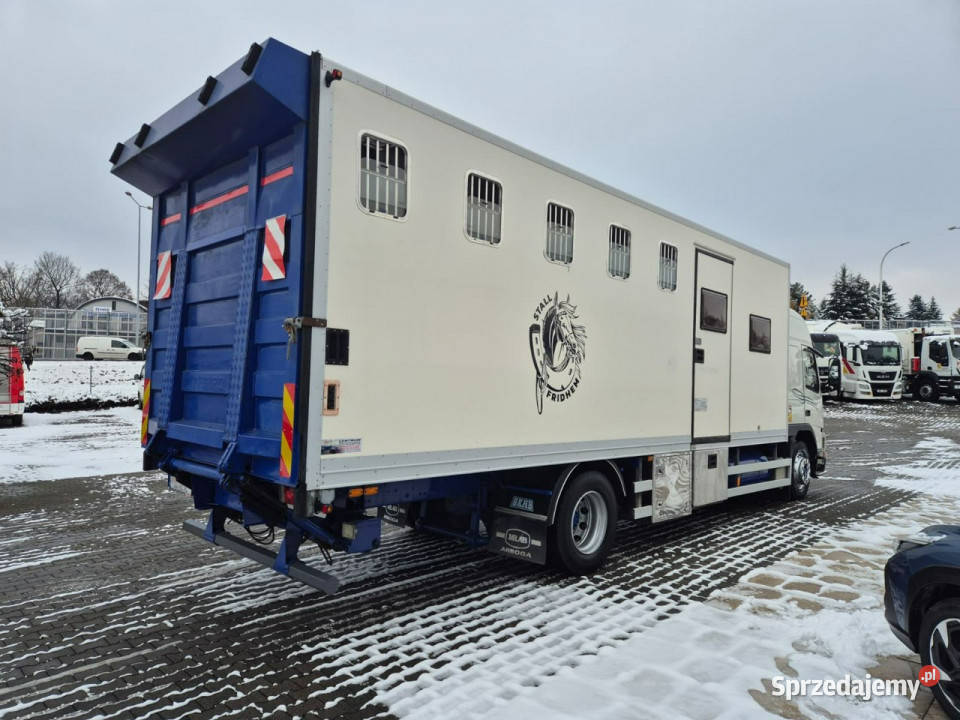 Volvo FM7 DO BYDŁA I KONI Volvo FM 7 DO PRZEWOZU Łaziska Górne