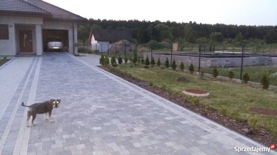 Sprzedam dom jednorodzinny pod Bełchatowem murowane