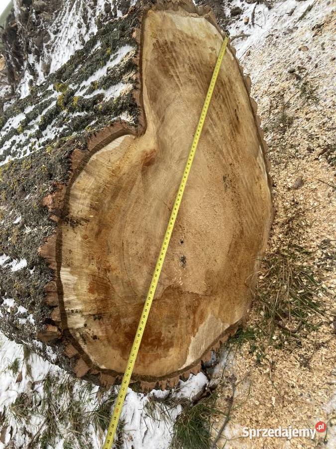 Pień w kształcie serca 75 x 55 x 140