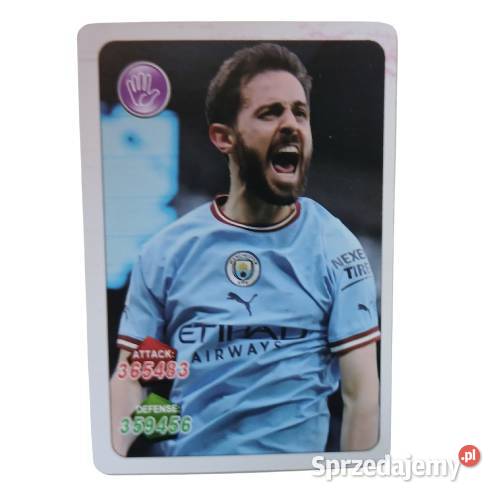 Karta piłkarska Euro 2024 Legnica