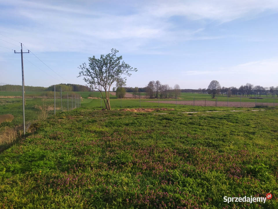 Działka inwestycyjna na sprzedaż Magazyn hala