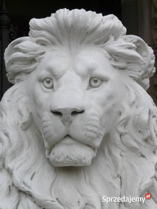 Cement Biały AALBORG WHITE Portlandzki CEM I 525 Materiały budowlane Kraków