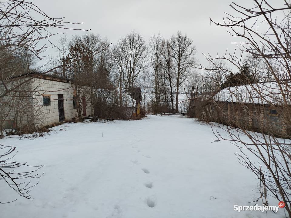 Sprzedam siedlisko z polem ornym klasy Telatyn