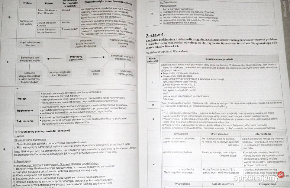 Język polski Teraz matura Zadania i arkusze M Chełm