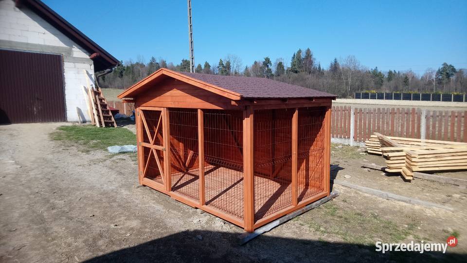 Kojec psa Jordanów