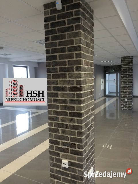 wynajmu lokalu 283m2 Kraków handlowo-usługowy