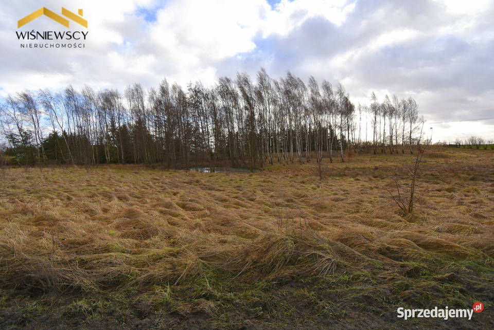 Działka pod zabudowę zagrodową granicy Miasta Sprzedaż sprzedam