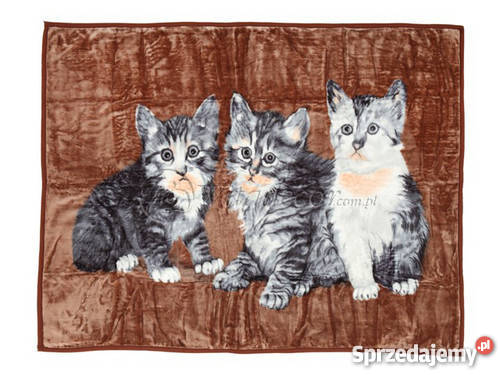 KOCE akrylowenarzuty tłoczone 160x200 śląskie Katowice