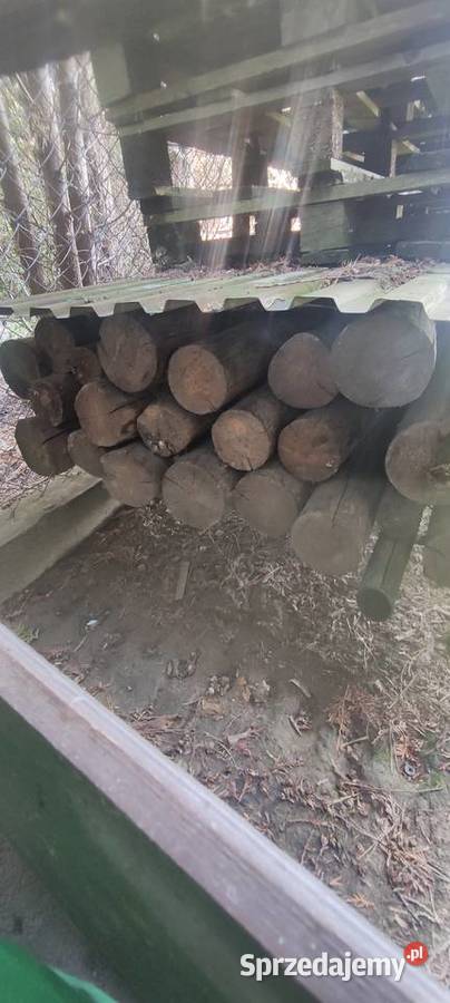 Długie stemple budowlane 7m Bale okrągłe żerdzie Drewno budowlane Żywiec sprzedam