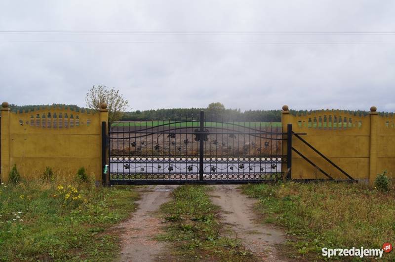 Sprzedam dom 135m2 działka 17200m2 Bezpośrednio Sochaczew