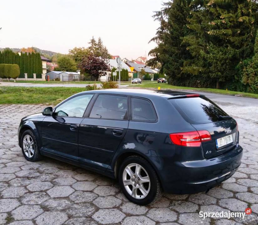 Ładne i zdrowe Audi A3 16 benzyna z gazem LPG nieuszkodzony