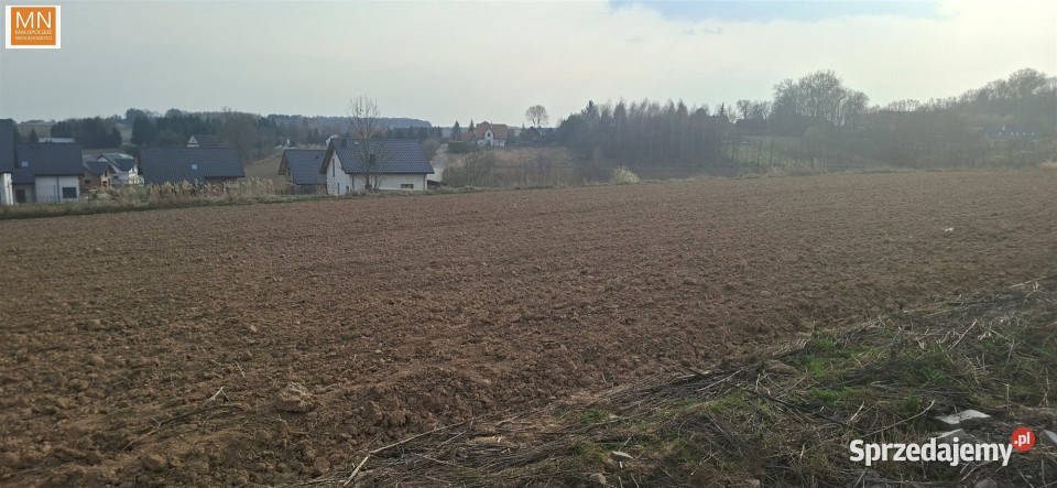 Grunt na sprzedaż Łuczyce Pod Lasem 698m2