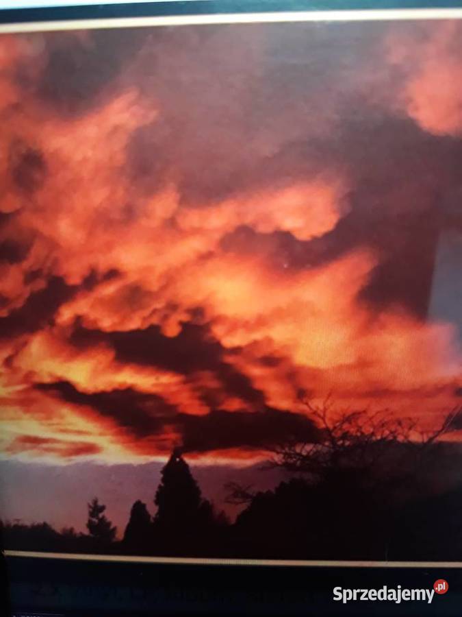 Archiwum prog rocka HARMONIUM Lheptade 1976 Rzeszów