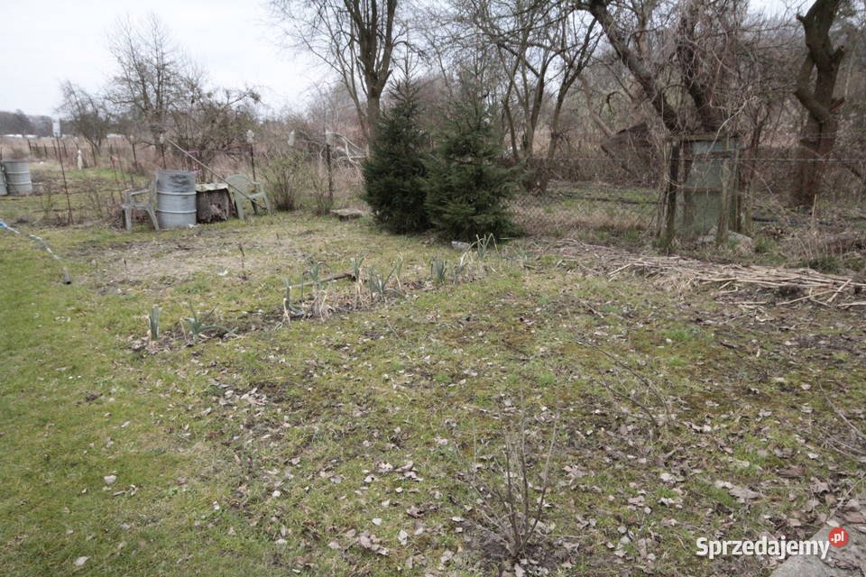 3pok 78met Skrzypowej 2 PIWNICEOGRÓDGARAŻ dolnośląskie Wrocław sprzedam