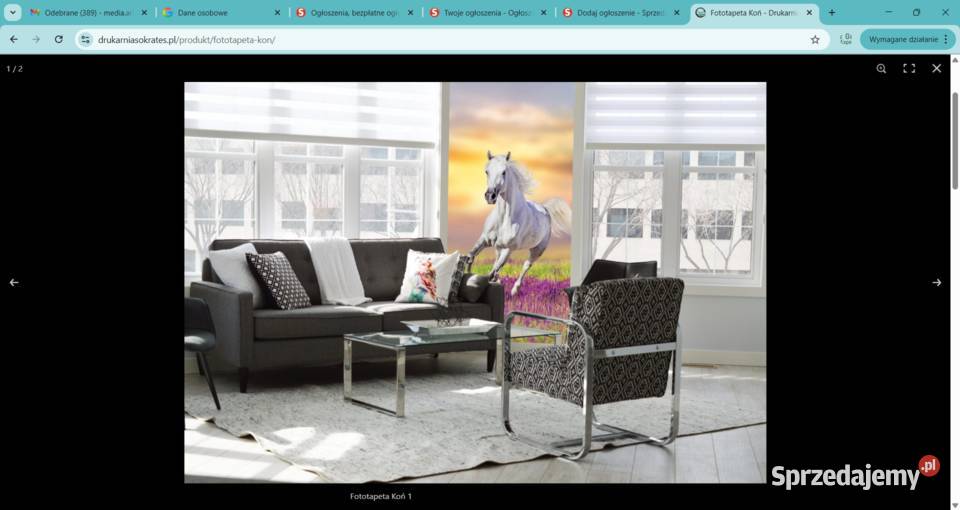 Fototapeta Koń śląskie Zabrze