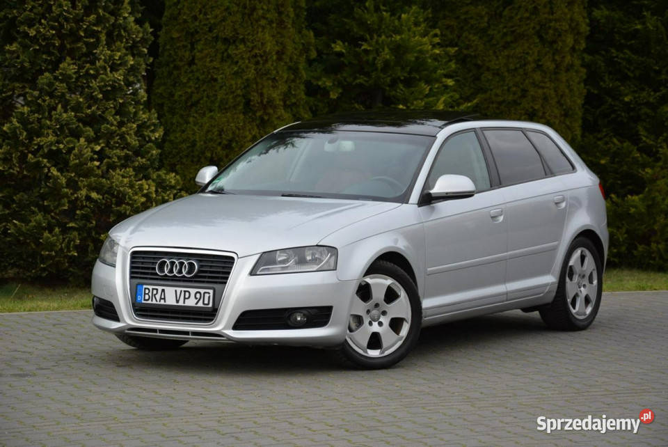 Audi A3 Lift DSG Panorama Skóry Duża Navi DRL wielofunkcyjna kierownica Ostrów Mazowiecka