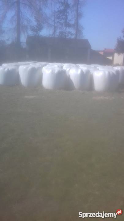 Sianokiszonka Radwanów-Kolonia