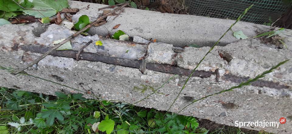 Słupy betonowe Pozostałe Tomaszów Lubelski